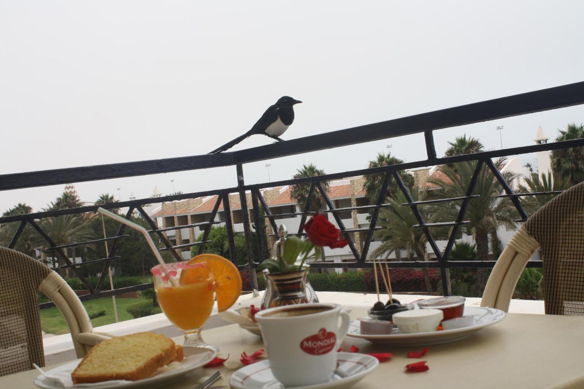 Golden Beach Appart'Hotel Агадир Номер фото